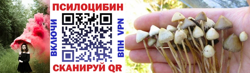 Галлюциногенные грибы мицелий даркнет сайт Плавск